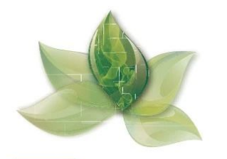 如何解决纳管单位与污水厂之间责任不清的问题？环境部出台官宣