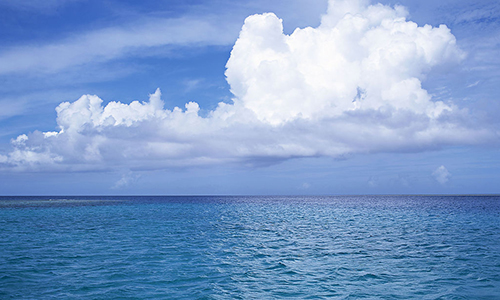 2019碧水保卫战 5大关键词哪个与你有关？