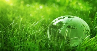 污水处理“痛”在哪？得从“管网”开始找