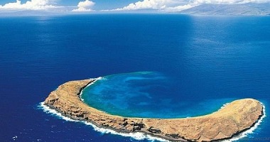 全文 | 九部门关于推进农村生活污水治理的指导意见