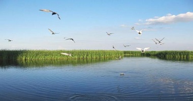 垃圾分类，分出新市场——广东国际水展助力开拓新蓝海