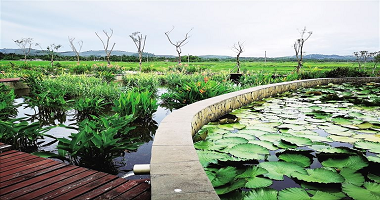 云南城投：保利集团卫飚任党委书记、董事长