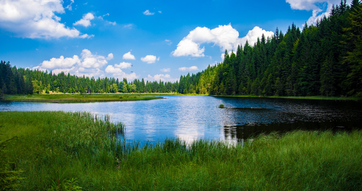 污水处理过程中能耗成本占比很高 污水处理厂可以成为“发电厂”