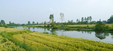 国内外农村污水处理设施建设运营现状与思考