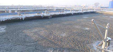 污泥解体的原因及对策！