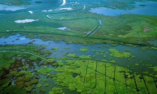 农村生活污水处理技术现状与对策