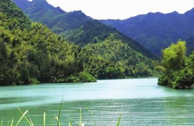 2020年度中国生态环境十大科技进展发布