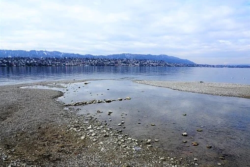 广东省惠来县城及三镇污水处理厂顺利完成完工验收和环保验收