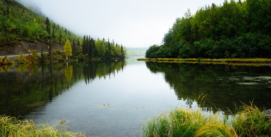 深圳福田全面打赢水污染治理攻坚战 探索中心城区治水新模式