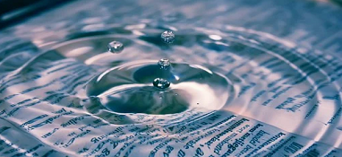 《广东省城镇生活污水处理厂污泥处理处置管理办法》（征求意见稿）