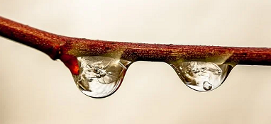 污水厂的处理流程中的工艺细节管理-生化池的运行细节