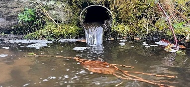 污水与污泥：英国河流究竟发生了什么？