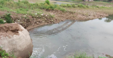 典型案例丨泸州市合江县整改不严不实 乡镇生活污水长期直排赤水河