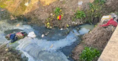 典型案例丨仙桃市城区水污染治理不力 水环境问题突出